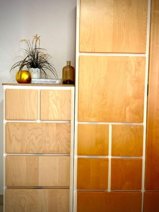 Apartment Mychoice Pitiusa