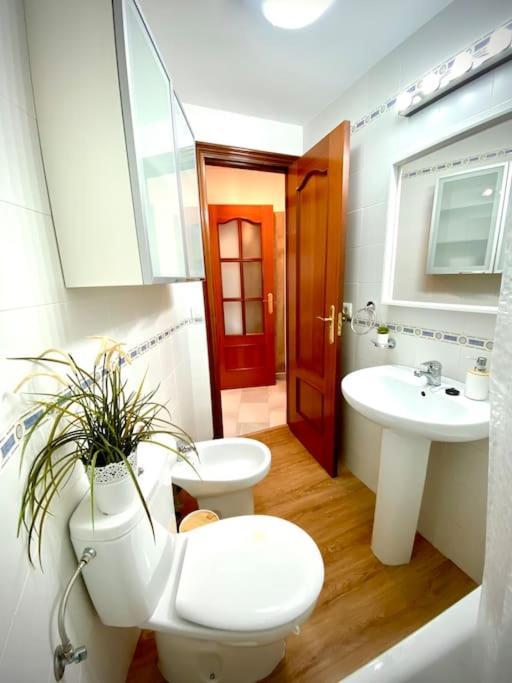 Apartment Mychoice Pitiusa